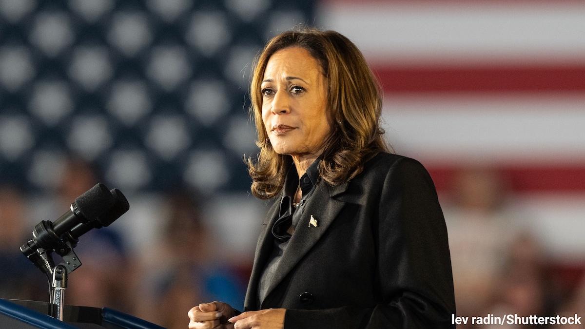 カマラハリス 2024 8