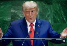 トランプが栄誉に飢えるワケ、臨床心理士の親戚が解説