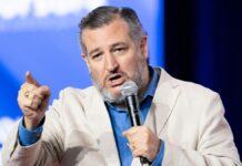 保守陣営水面下の攻防:「バンスはタッカーの子分」――クルーズ発言が流出