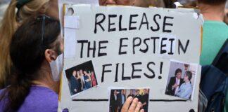 エプスタイン文書公開:共和党議員、親イスラエル系メガドナーの標的に