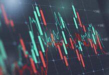 モリソン議員、Project StardustやRhoda AI株を購入