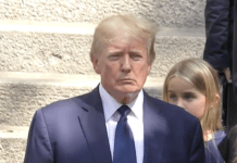 米上院、暗号資産「CLARITY法案」を否決――トランプ暗号資産ビジネスがボトルネックに トランプ大統領